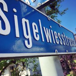 Umzug